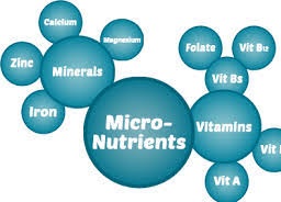 माइक्रो न्यूट्रिएंट  MICRO-NUTRIENTS 